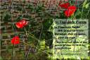 In Flanders Fields - jigsaw puzzle (Thumbnail for Letter size)