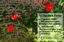 In Flanders Fields - poster (Thumbnail for A4 size)