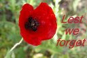 Lest we forget - poster (Thumbnail for Letter size). Red poppy.
