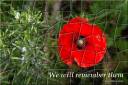 We will remember them - jigsaw puzzle (Thumbnail for Letter size)